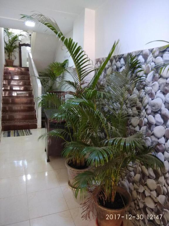 Alegro Holiday Homes Palolem Εξωτερικό φωτογραφία